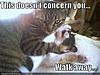 Click image for larger version Name:	funny-pictures-cat-strangles-cat.jpg Views:	339 Size:	35.1 KB ID:	6807